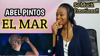 NO WORDS Abel Pintos  El Mar En Vivo Estadio River plate  REACTION [upl. by Htrag]