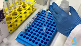 02  DNA Isolation from bacterial culture [upl. by Raney534]