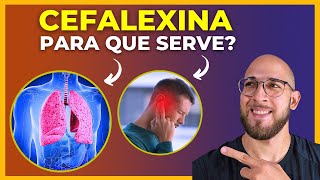 CEFALEXINA  Para Que Serve Efeitos Colaterais Como tomar ENTENDA TUDO [upl. by Acisey173]