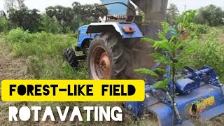 Rotavating in the forestlike field using tractor rotavator [upl. by Lemaj323]