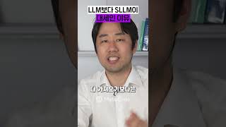 요즘 무조건 sLLM이 대세인 이유 [upl. by Mikol]