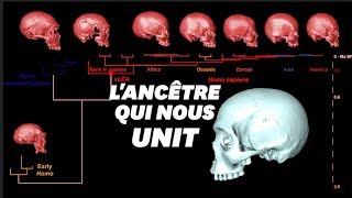 Le crane virtuel de lancêtre commun dHomo sapiens ressemblerait à ça [upl. by Andreana]