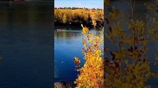 Fall season  Boating on a river [upl. by Esineg517]