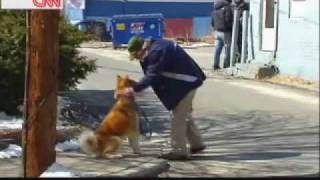 HACHI A DOGS TALE 2009  Official Movie Trailer [upl. by Mapel]