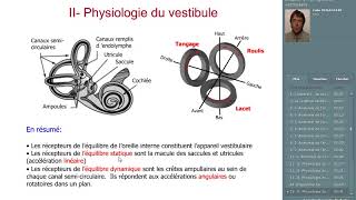 le système vestibulaire [upl. by Innor]