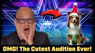 OMG The Cutest Audition Ever Best Americas Got Talent Moments 2024 [upl. by Yrok130]