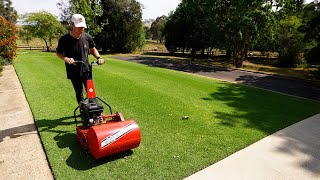 My Lawn Looks Pure After A Renovation [upl. by Erika]