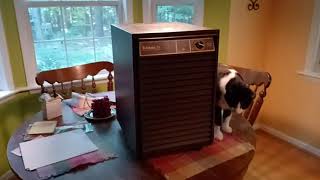 Edison dehumidifier from 1995 Looks like a product of the 80s to me This video is in 169 R500 [upl. by Marjory837]