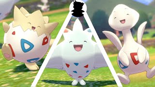 【Pokemon Camp】Togepi・Togetic・Togekiss Shiny Cute Egg baby [upl. by Torrin]