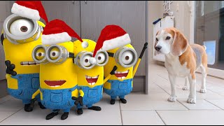 Animations in REAL LIFE vs Funny Dogs 🥳  Christmas Minions Edition [upl. by Ainafetse]