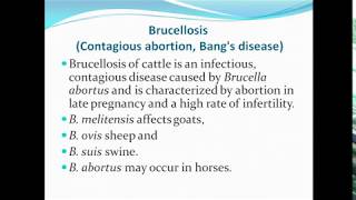 Brucellosis ppt [upl. by Odnala]