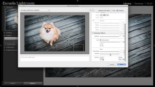 Lightroom 5  Cómo agregar tu logo Tutorial [upl. by Nitsej]