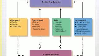 Social Bonding Theory Criminology Sociology  Travis hirschi Social bonding theory [upl. by Garwin497]