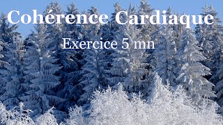 coherence cardiaque exercices 5 mn 6 respirationsmn [upl. by Venterea]