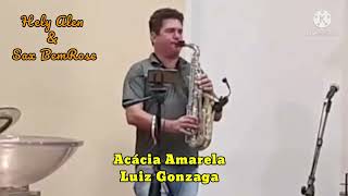 Acácia Ámarela  Luiz Gonzaga Hely Alen amp Sax BemRose [upl. by Airad824]