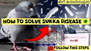 How to cure salmonellosis sukka 🦠 with simple steps explained by Nimmasivaraj pigeon youtube [upl. by Atiuqahc]