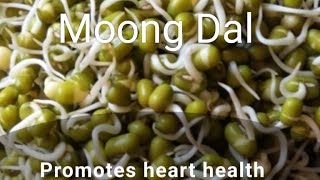 Soaked moong dal benefits plants botany healthylifestylesciencefacts [upl. by Hardigg543]