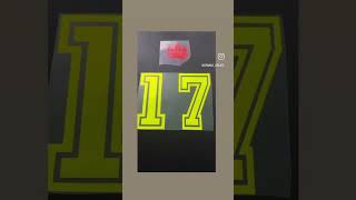 Sportflex Ironon basketball jersey ontario cricut [upl. by Yolande217]