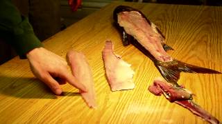 Filleting Silver Asian Carp Boneless [upl. by Nageem]