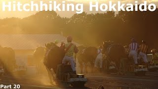 Eric Hitchhikes to Hokkaido  Part 20  Banei Horse Races in Obihiro  Summer 2016 [upl. by Ainoloppa111]