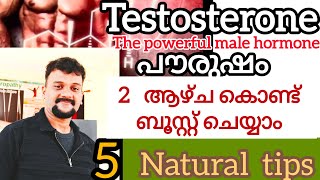 How to boost testosterone malayalamപുരുഷ ഹോർമോൺ വേഗത്തിൽ കൂട്ടാം health manoyogawellness [upl. by Castora]