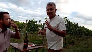 Entrevista com o vinicultor Dr Helvercio Teles Teixeira [upl. by Thilde]