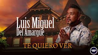 Luis Miguel Del Amargue  Te Quiero Ver [upl. by Eipper644]