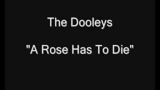 The Dooleys  A Rose Has To Die HQ Audio [upl. by Swithbert669]