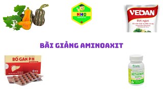 Bài giảng aminoaxit Chi tiết và đầy đủ Thầy Nguyễn Hồng Quảng [upl. by Ardnael]