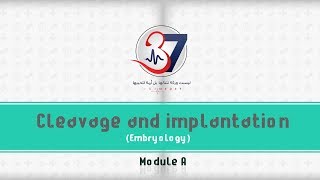 Cleavage and Implantation  Embryology [upl. by Thad362]