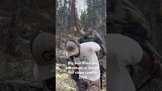 bullmoose moosehunting moose wildlife alaskamoose alaska [upl. by Akiemahs]