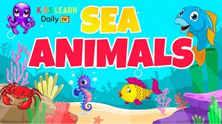 Discover Sea Animals for Kids  Educational Ocean Life Video [upl. by Ignacio]