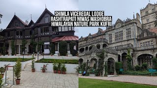 shimla viceregal lodge  rashtrapati niwas mashobra  kufri Himalayan nature park [upl. by Angadreme190]