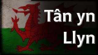 Welsh Folk Song  Tân yn Llŷn [upl. by Nnayelsel808]