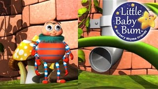 Incy Wincy Spider  LittleBabyBum  Nursery Rhymes for Babies ABCs and 123s  LBB [upl. by Derril512]