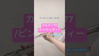 カルメン77ピンク・レディー【演奏してみた】【フルート】 [upl. by Yadahs]