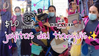 Mega Haul de bolsas 10 20 30 CHANEL COACH vestidos ✨️♻️💗 [upl. by Nodlew439]