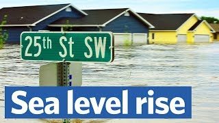 Will sea level rise drown our coastal cities [upl. by Yeslrahc702]