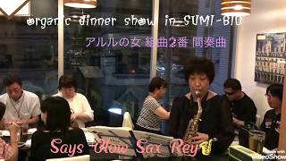 アルルの女組曲2番 間奏曲 ビゼー アルト サックス Says Blow Sax Rey♪ [upl. by Ecnaiva446]