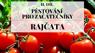 Pěstování rajčat ze semínek  Pěstování pro začátečníky 2 díl [upl. by Cilka958]