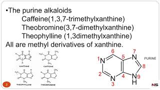 PHARMACOGNOSY  PURINE ALKALOIDS WITH TRICK [upl. by Ylrae]