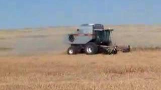 Gleaner R72 harvesting millet [upl. by Seton368]