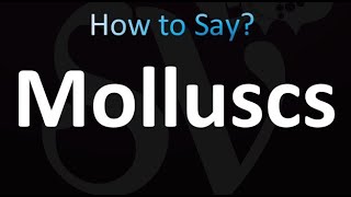 How to Pronounce Molluscs correctly [upl. by Moreno]