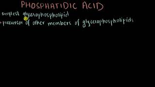 Phosphatidic acid  Structure amp Biosynthesis [upl. by Chandler]