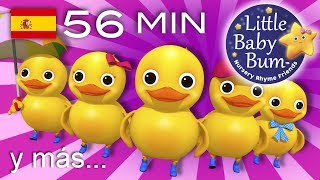 Contar cinco patitos  Y muchas más canciones infantiles  ¡56 min de recopilación LittleBabyBum [upl. by Neom]