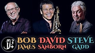 Bob James David Sanborn amp Steve Gadd  Leverkusener Jazztage 2013 [upl. by Bred941]