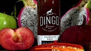 Hot Sauce Commercial Dingo Hot Sauce [upl. by Burney]