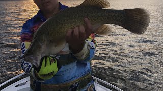 Wyangala dam cod [upl. by Jessabell373]