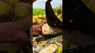 Mengupas buah lontar buahlontar fruit [upl. by Eelac]