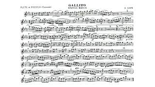 Gallito March by Santiago Lope  Flute and Piccolo [upl. by Oigres]